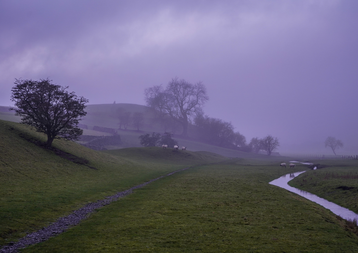 Evening Mist Across the Dales - Samantha Innard